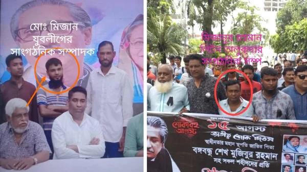 thumbnail-1766238304565-Untitled-2.jpg (1)