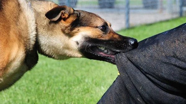 1767624819-3541d514c6351bb8b74d06e736eb22ec