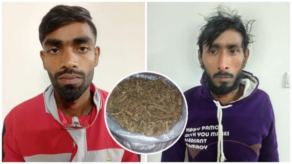 বরিশালে ডিবির অভিযানে গাঁজাসহ দুই মাদক ব্যবসায়ী আটক