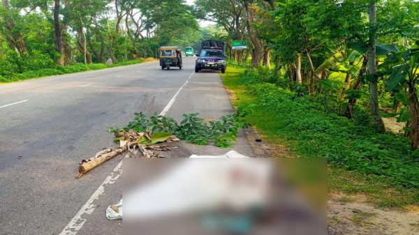 বরিশাল-ঢাকা মহাসড়কে সড়ক দুর্ঘটনায় যুবক নিহত