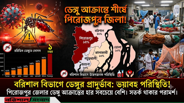 বরিশাল বিভাগে ডেঙ্গু আক্রান্তের দিক শীর্ষে পিরোজপুর জেলা