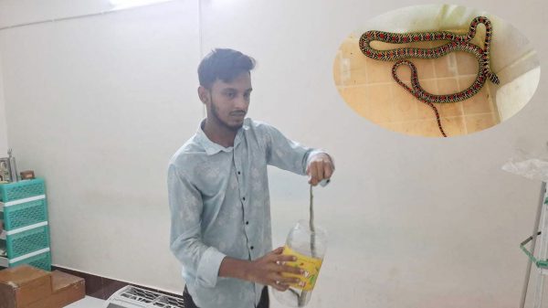 বরিশালে ক্লিনিকের এসির ভেতরে লুকিয়ে ছিল কালনাগিনী, অতঃপর