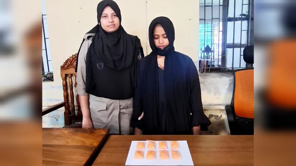 পিরোজপুরে ২ হাজার পিস ইয়াবাসহ নারী আটক