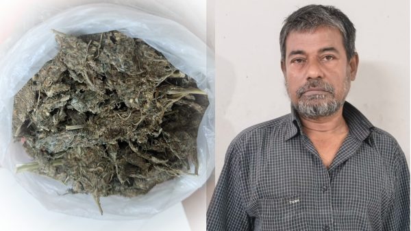 বরিশালে এয়ারপোর্ট থানার অভিযানে গাঁজাসহ  আটক ১